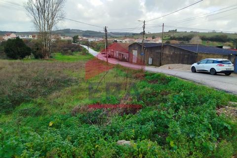 Terra a Bombarral, Leiria, Bombarral - € 119.000 | Ref: 130250316 - foto 3