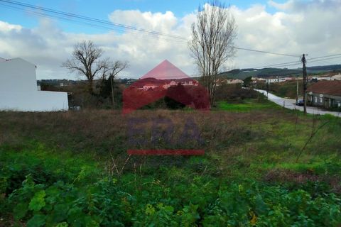 Terra a Bombarral, Leiria, Bombarral - € 119.000 | Ref: 130250316 - foto 4