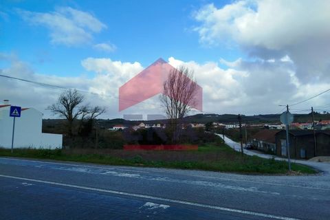 Terra a Bombarral, Leiria, Bombarral - € 119.000 | Ref: 130250316 - foto 5