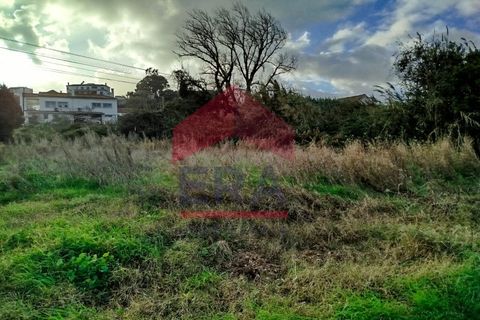 Terra a Bombarral, Leiria, Bombarral - € 119.000 | Ref: 130250316 - foto 6