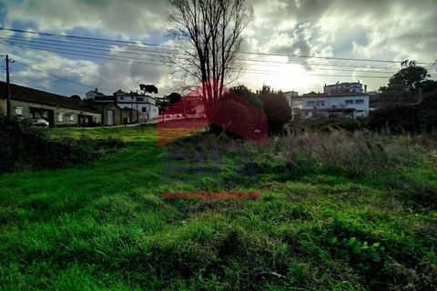 Terra a Bombarral, Leiria, Bombarral - € 119.000 | Ref: 130250316 - foto 7