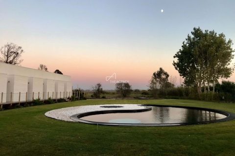Farm hus i Ovar, Aveiro, Ovar - € 3.500.000 | Ref: TAPT01-1140_AMV_TG - foto 5