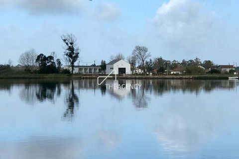 Farm hus i Ovar, Aveiro, Ovar - € 3.500.000 | Ref: TAPT01-1140_AMV_TG - foto 35