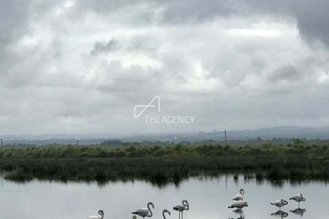 Farm hus i Ovar, Aveiro, Ovar - € 3.500.000 | Ref: TAPT01-1140_AMV_TG - foto 36