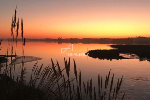 Farm hus i Ovar, Aveiro, Ovar - € 3.500.000 | Ref: TAPT01-1140_AMV_TG - foto 45