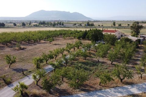 Landejendom i Baza, Granada, Baza - € 315.000 | Ref: v2947 - foto 3