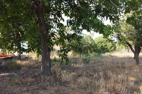 Landejendom i Baza, Granada, Baza - € 315.000 | Ref: v2947 - foto 11