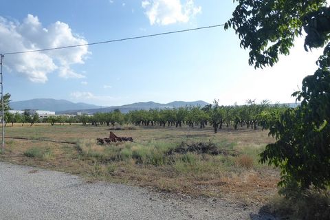 Landejendom i Baza, Granada, Baza - € 315.000 | Ref: v2947 - foto 16