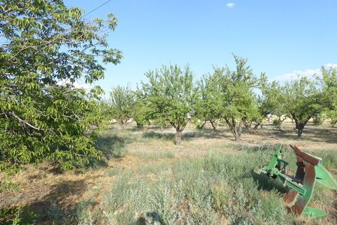 Landejendom i Baza, Granada, Baza - € 315.000 | Ref: v2947 - foto 17