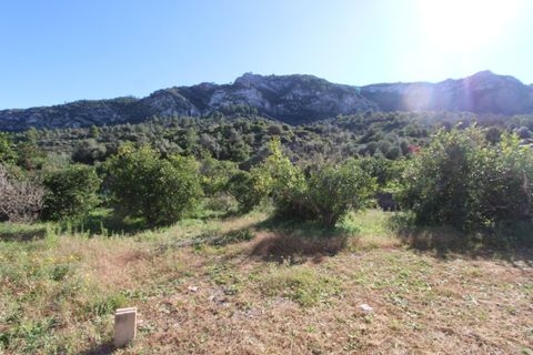 Villa a Llosa De Camacho, Alicante, Llosa De Camacho - € 370.000 | Ref: 001799PGI - foto 22