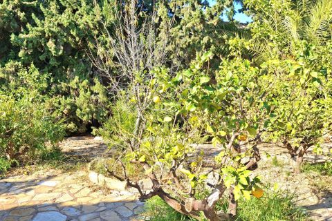 Villa - Mutxamel, Alicante, Mutxamel - € 650 000 | Réf : 1RE1083 - photo 25