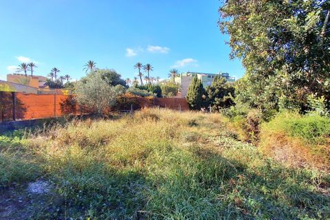 Villa - Mutxamel, Alicante, Mutxamel - € 650 000 | Réf : 1RE1083 - photo 26