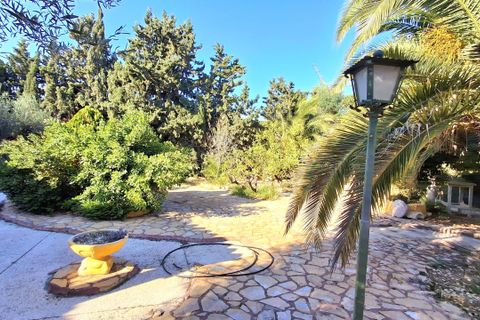 Villa - Mutxamel, Alicante, Mutxamel - € 650 000 | Réf : 1RE1083 - photo 29