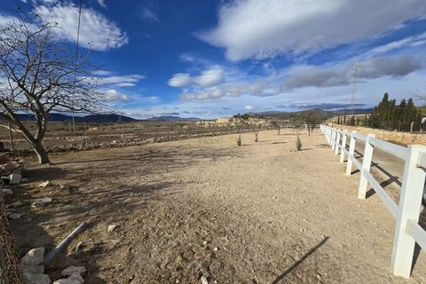 Finca i Monovar, Alicante, Monovar - € 199.999 | Ref: 5032 IVD13845 - foto 14