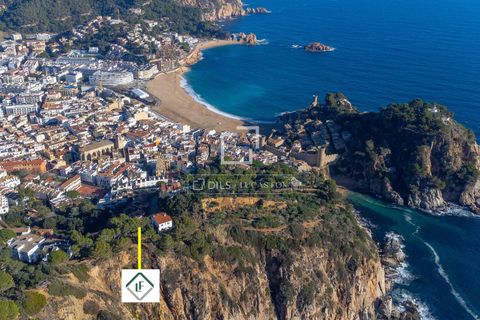 Grond in Tossa De Mar, Gerona, Tossa De Mar - € 545.000 | Ref: CBR46715 - foto 14