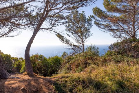 Grond in Tossa De Mar, Gerona, Tossa De Mar - € 545.000 | Ref: CBR46715 - foto 19