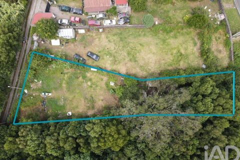 Helårsgrund i Lagoa, Sao Miguel, Lagoa - € 60.000 | Ref: 742034 - foto 2