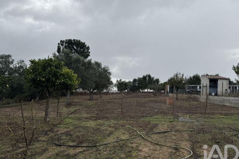 Stadthaus in Odemira, Beja, Odemira - € 195.000 | Ref: 774141 - Foto 6