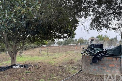 Stadthaus in Odemira, Beja, Odemira - € 195.000 | Ref: 774141 - Foto 10