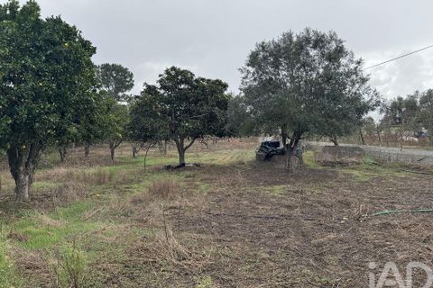 Stadthaus in Odemira, Beja, Odemira - € 195.000 | Ref: 774141 - Foto 11