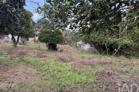 Stadthaus in Odemira, Beja, Odemira - € 195.000 | Ref: 774141 - Foto 14