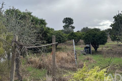 Stadthaus in Odemira, Beja, Odemira - € 195.000 | Ref: 774141 - Foto 13
