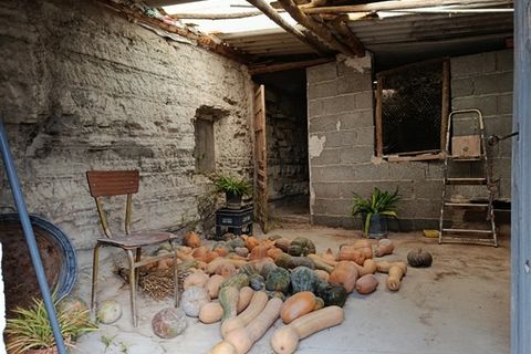 Cave house i Benamaurel, Granada, Benamaurel - € 125.000 | Ref: 268 - foto 32