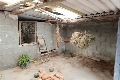 Cave house i Benamaurel, Granada, Benamaurel - € 125.000 | Ref: 268 - foto 31