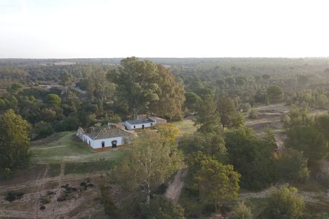 Finca i Almonte, Huelva, Almonte - € 1.249.999 | Ref: 1067 - foto 2