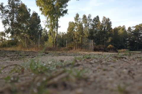 Finca i Almonte, Huelva, Almonte - € 1.249.999 | Ref: 1067 - foto 18
