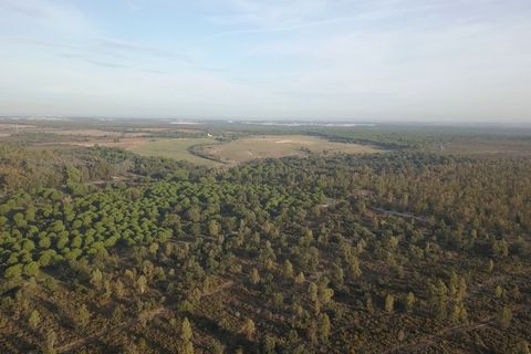 Finca i Almonte, Huelva, Almonte - € 1.249.999 | Ref: 1067 - foto 16