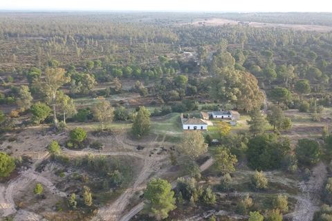 Finca i Almonte, Huelva, Almonte - € 1.249.999 | Ref: 1067 - foto 3