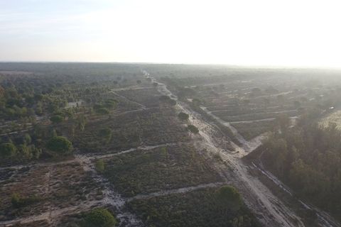 Finca i Almonte, Huelva, Almonte - € 1.249.999 | Ref: 1067 - foto 8