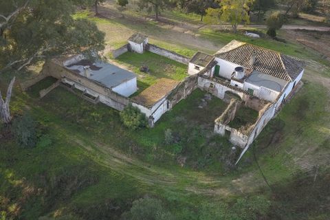 Finca i Almonte, Huelva, Almonte - € 1.249.999 | Ref: 1067 - foto 4