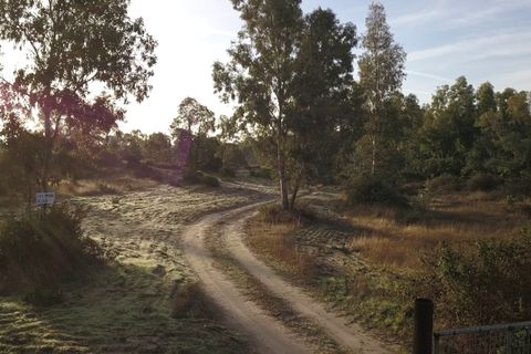 Finca i Almonte, Huelva, Almonte - € 1.249.999 | Ref: 1067 - foto 15