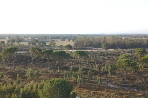 Finca i Almonte, Huelva, Almonte - € 1.249.999 | Ref: 1067 - foto 5