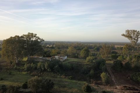 Finca i Almonte, Huelva, Almonte - € 1.249.999 | Ref: 1067 - foto 12