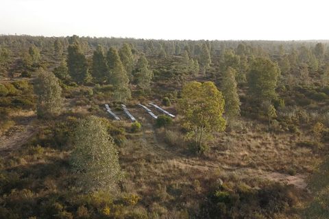 Finca i Almonte, Huelva, Almonte - € 1.249.999 | Ref: 1067 - foto 17