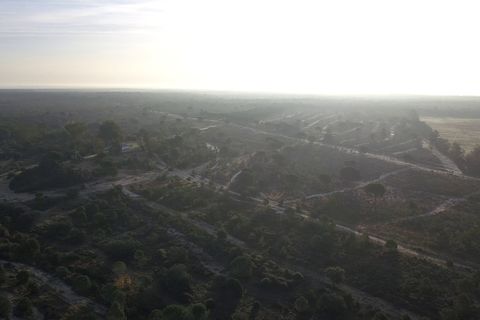 Finca i Almonte, Huelva, Almonte - € 1.249.999 | Ref: 1067 - foto 6