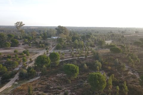 Finca i Almonte, Huelva, Almonte - € 1.249.999 | Ref: 1067 - foto 9
