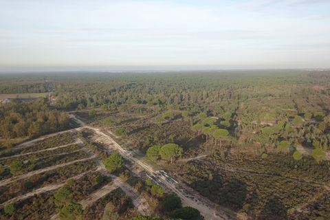 Finca i Almonte, Huelva, Almonte - € 1.249.999 | Ref: 1067 - foto 11