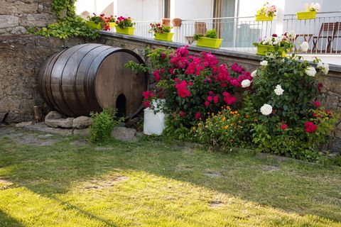 Byhus i Mogadouro, Braganca, Mogadouro - € 950.000 | Ref: KWPT-025420 - foto 17