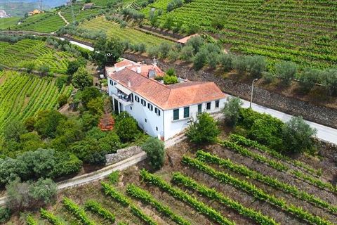 Farm i Lamego, Viseu, Lamego - € 1.840.000 | Ref: KWPT-016067 - foto 1