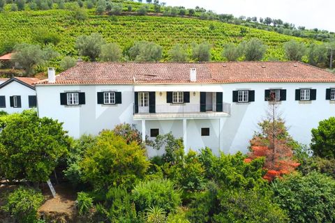 Farm i Lamego, Viseu, Lamego - € 1.840.000 | Ref: KWPT-016067 - foto 2
