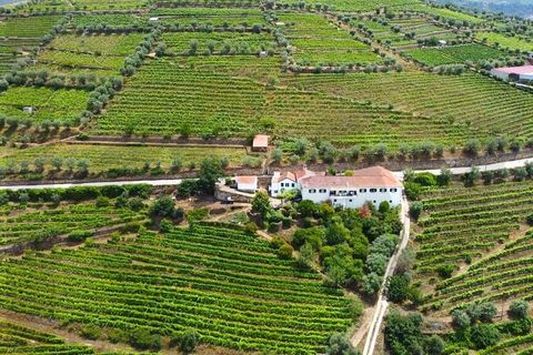 Farm i Lamego, Viseu, Lamego - € 1.840.000 | Ref: KWPT-016067 - foto 6