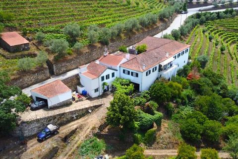 Farm i Lamego, Viseu, Lamego - € 1.840.000 | Ref: KWPT-016067 - foto 7