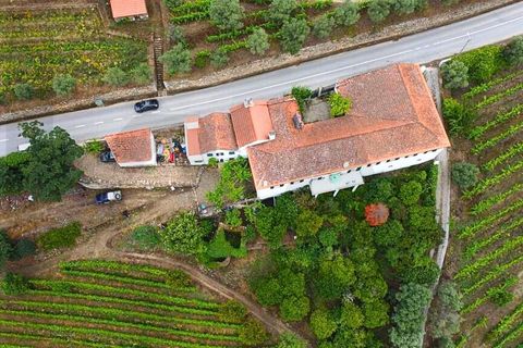 Farm i Lamego, Viseu, Lamego - € 1.840.000 | Ref: KWPT-016067 - foto 8