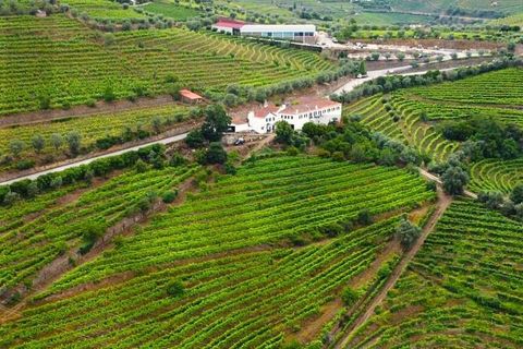 Farm i Lamego, Viseu, Lamego - € 1.840.000 | Ref: KWPT-016067 - foto 9