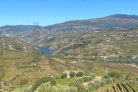 Farm i Lamego, Viseu, Lamego - € 1.840.000 | Ref: KWPT-016067 - foto 3
