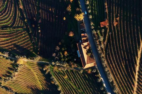 Farm i Lamego, Viseu, Lamego - € 1.840.000 | Ref: KWPT-016067 - foto 4